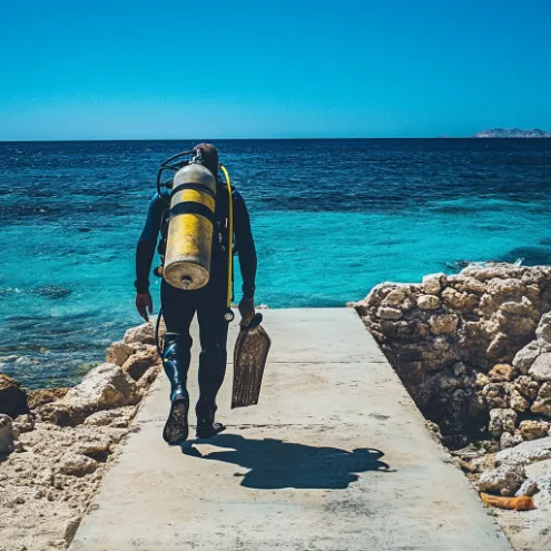 What Is The Growth Potential Of Seo For A Scuba Diving Instructor